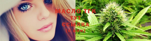 Альфа ПВП Бородино