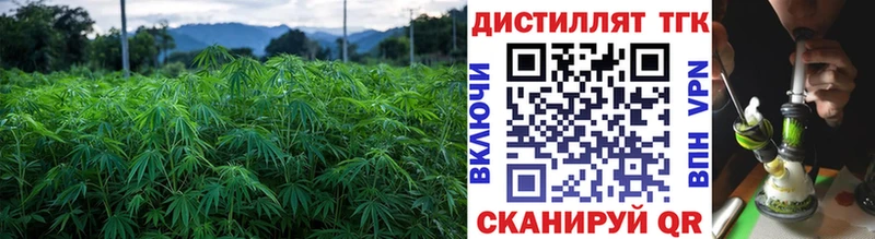 Купить закладки  Белоозёрский  ТГК вейп с тгк 