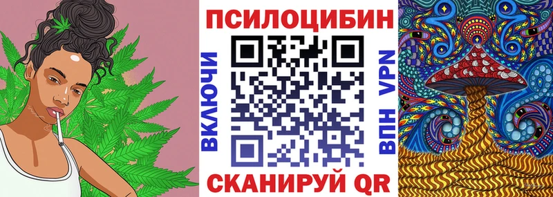 Купить где  Белоозёрский  Галлюциногенные грибы Magic Shrooms 
